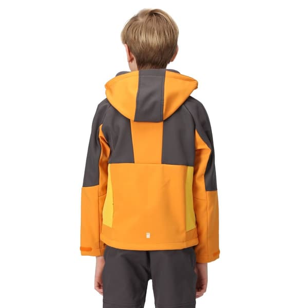 Regatta Haydenbury Soft Shell-jacka för barn/unga