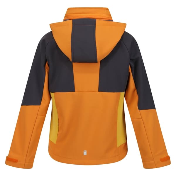 Regatta Haydenbury Soft Shell-jacka för barn/unga