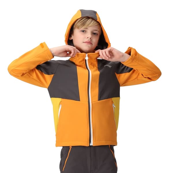 Regatta Haydenbury Soft Shell-jacka för barn/unga