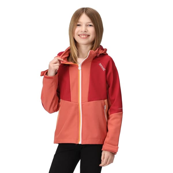 Regatta Haydenbury Soft Shell-jacka för barn/unga