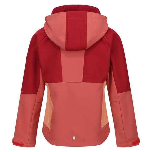 Regatta Haydenbury Soft Shell-jacka för barn/unga