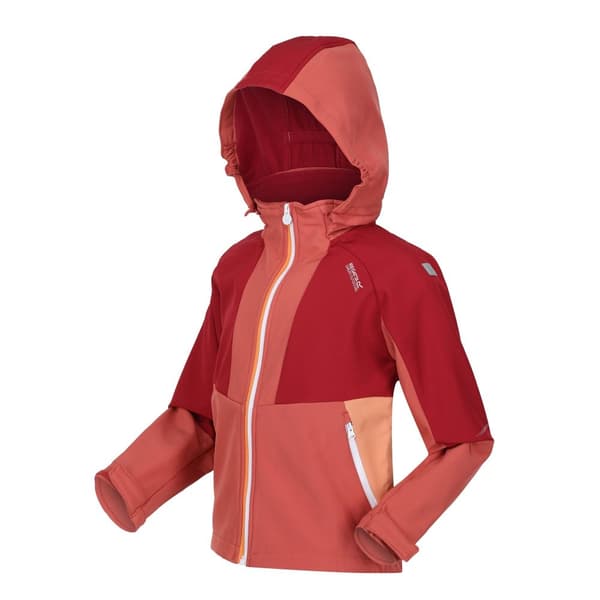 Regatta Haydenbury Soft Shell-jacka för barn/unga