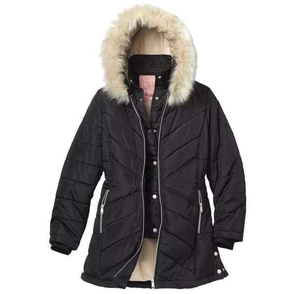 Atlas for Women Womens/Ladies Water Repellent Padded Jacket Black 8 UK - 10 UK