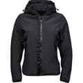 Miniatyrbillede 1 af 3: Tee Jays Womens/Ladies Urban Adventure Padded Jacket