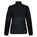 Miniatyrbillede 2 af 4: Dare 2B Womens/Ladies Lexan Hybrid Jacket