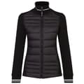 Miniatyrbillede 1 af 4: Dare 2B Womens/Ladies Icy Hybrid Padded Jacket