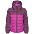 Miniatyrbilde 1 av 4: Trespass Childrens/Kids Oskar Padded Jacket