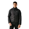Miniatyrbilde 3 av 4: Regatta Mens Dalent Padded Jacket