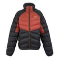 Miniatyrbilde 1 av 4: Regatta Mens Dalent Padded Jacket