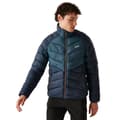 Miniatyrbilde 3 av 4: Regatta Mens Dalent Padded Jacket