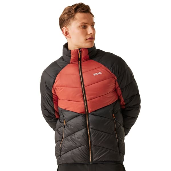 Regatta Mens Dalent Padded Jacket
