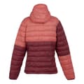 Miniatyrbilde 2 av 3: Regatta Womens/Ladies Hillpack II Hooded Jacket