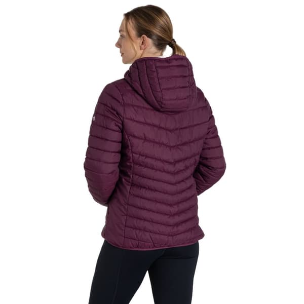 Craghoppers Womens/Ladies Compresslite VIII Hooded Padded Jacket