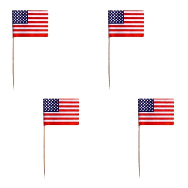 Partypinne USA