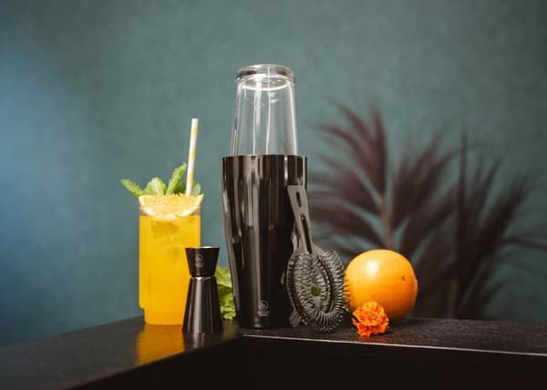 Shaker - agitator - cocktailset Leopold Wien - LV233027 - Boston shaker Acolon