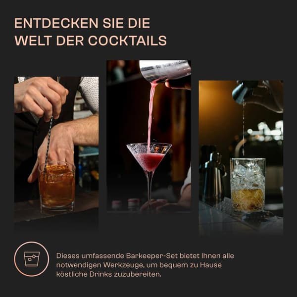 Shaker - agitator - whiskey rocks cocktailset Bartender 8 el Parisien Shaker - koppar