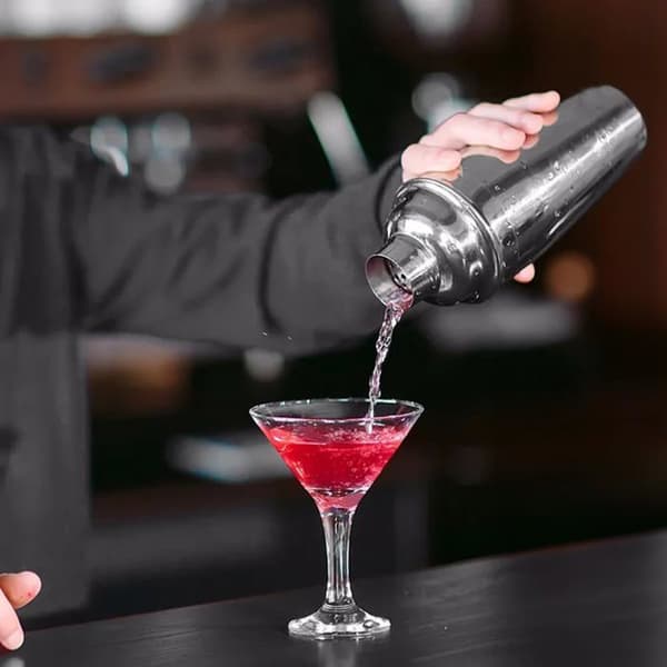 Shaker - agitator - cocktailset Avilia - ND