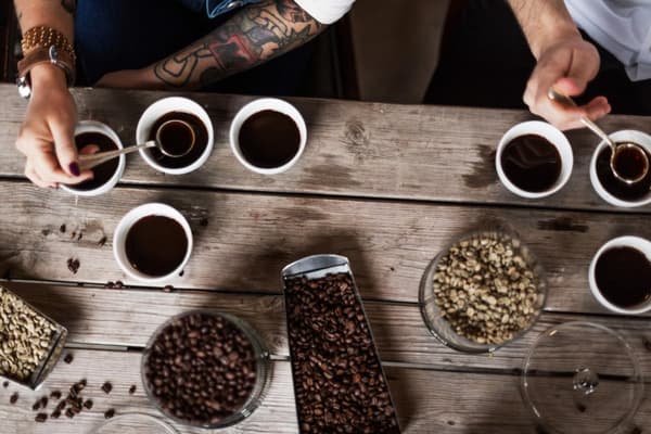 Kaffe ZOÉGAS Bönor Mollbergs 750g