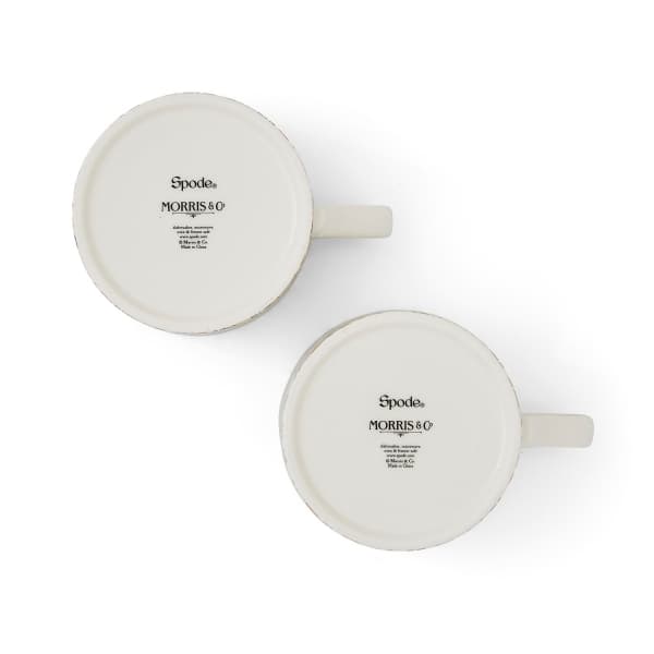 Mug Blackthorn & Golden Lily 34cl, 2-pack - Morris & Co