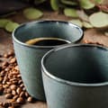 Miniatyrbild 3 av 4: Raw Northern Green Mugg 30cl, 6-pack - Aida