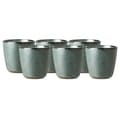 Miniatyrbild 1 av 4: Raw Northern Green Mugg 30cl, 6-pack - Aida