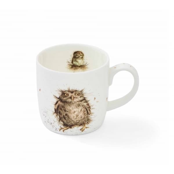What A Hoot 31cl - Royal Worcester