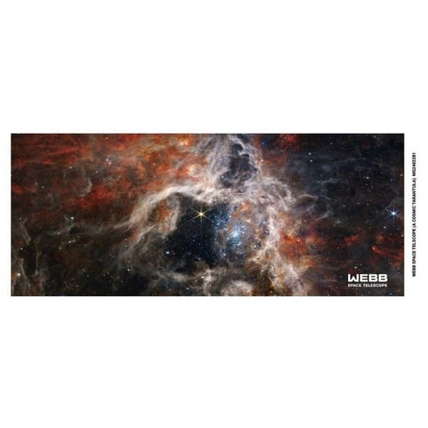 Webb Space Telescope A Cosmic Tarantula Mug