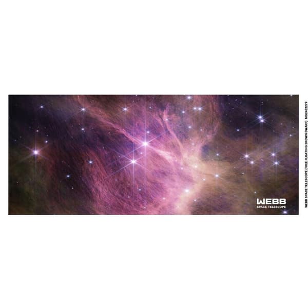 Webb Space Telescope Free Floating Brown Dwarf Mug