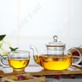 Miniatyrbild 3 av 4: TD® tekanna kaffebryggare 600 ml klart värmebeständigt glas med lock och infusionsapparat Filter-present-te-infusioner
