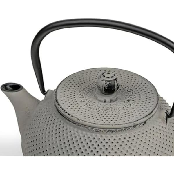 Teapot - BREDEMEIJER - Asia - Grå emaljerad gjutjärn - 0,8 l - Filter i rostfritt stål