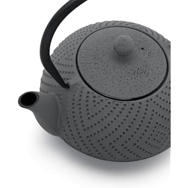 Teapot - BREDEMEIJER - Fujian - Högkvalitativ gjutjärn - 1,2 l - Filter i rostfritt stål