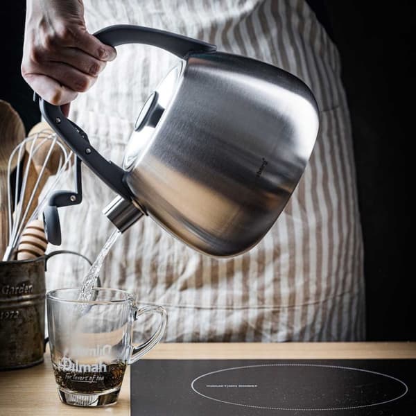 Stålkedel med fløjtefunktion 2,5l Klausberg Kb-7773 Lumarko!