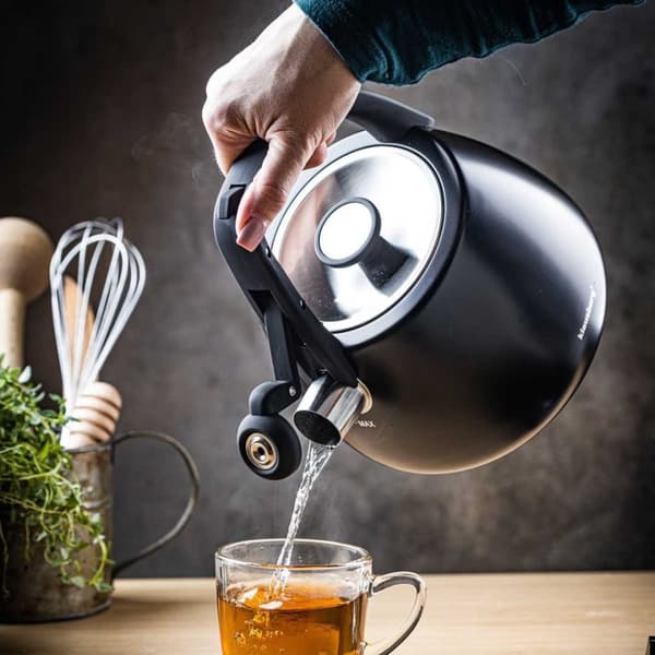 Stålkedel med fløjtefunktion 2,5l Klausberg Kb-7774 Lumarko!