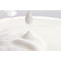 Miniatyrbild 4 av 5: Philips Home Milk Twister CA6500/63 Mjölkskummare Svart 500 W
