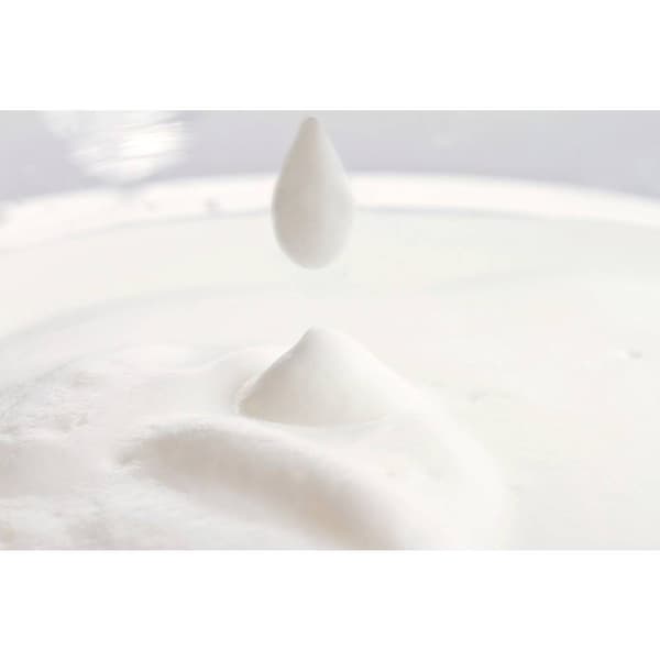 Philips Home Milk Twister CA6500/63 Mjölkskummare Svart 500 W
