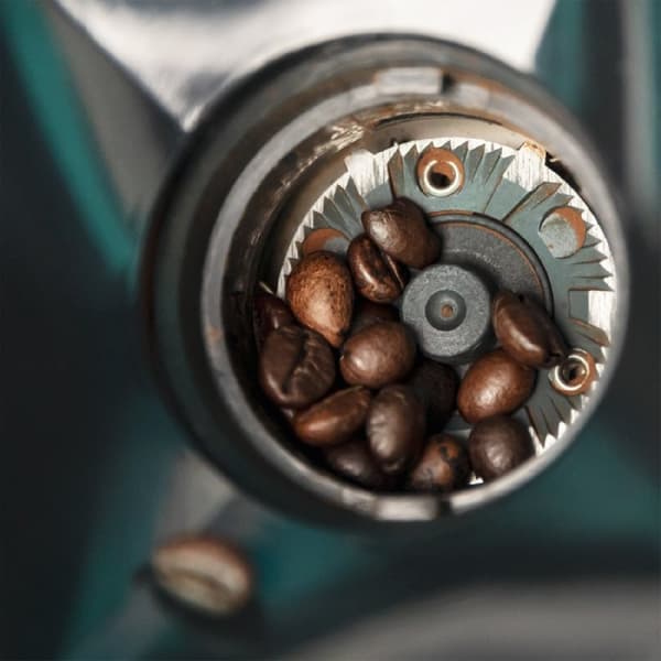 Cecotec Stainless-steel electric coffee grinder, 150 W, 17 grinding levels and capacity for 12 cups of coffee.