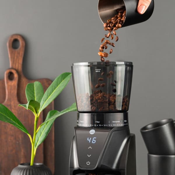 Wilfa Balance CG1B-275 kaffekvarn