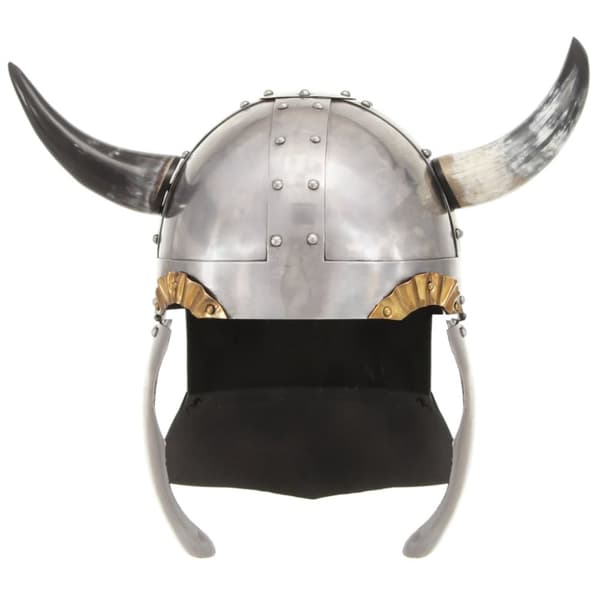 Fantasibaserad vikingahjälm för LARP silver stål