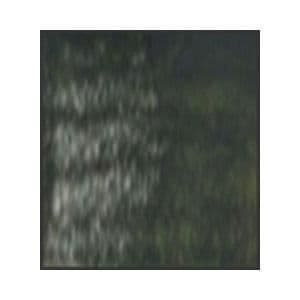 Derwent Inktense Pencils - Light Olive 154