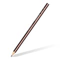 Miniatyrbild 2 av 4: Grafitpenna - Staedtler bly - 118 KP72PA - Triplus Multi Handwriting kit 72 HB pastellpennor.