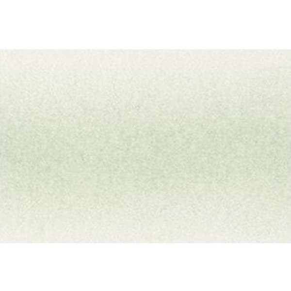 Färgpennor - DERWENT - CHROMAFLOW - Extra mjuk - Pastellgrön mint - 1 penna