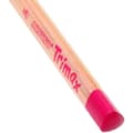 Miniatyrbild 4 av 4: Alpino -490251 Fodral 12 pennor Flera färger TRIMAX AL00011, - AL000113