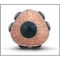 Miniatyrbild 3 av 4: Faber-Castell 117097 Set med 3 Grip 2001 blyertspennor med 1 suddgummi (Import Tyskland)
