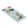 Miniatyrbild 2 av 4: Färgpennor - fetkritor Starpak OLO CRAYONER 12 FÄRGER CUTIES KATT STK PUD 12/144