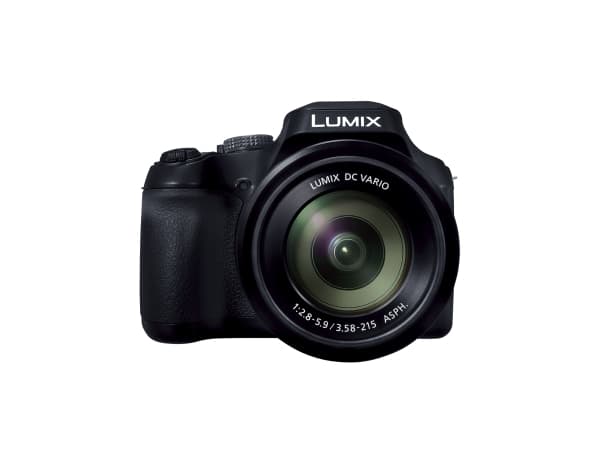 Panasonic Lumix DC-FZ82D - Digitalkamera - kompakt - 18.1 MP - 4 K / 30 fps - 60x optisk zoom - Wi-Fi - svart