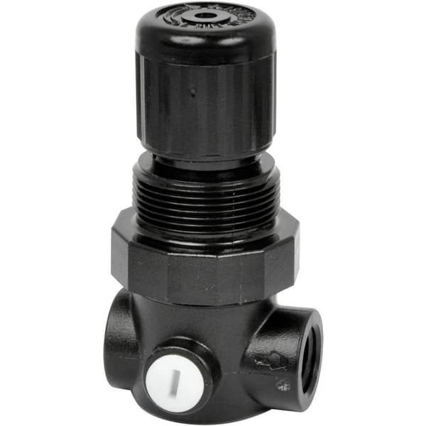 IMI NORGREN R91W-2GK-NEN Vätskeregulator 1/4