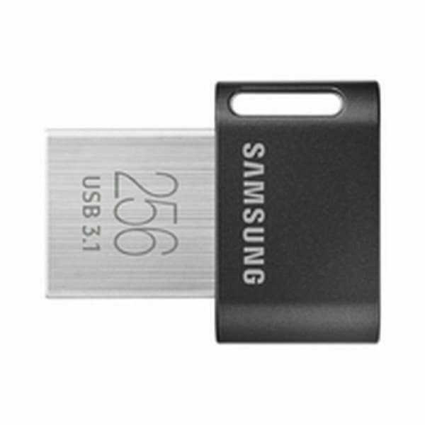 USB-stik Samsung MUF-256AB Sort 256 GB Grå, Sølv