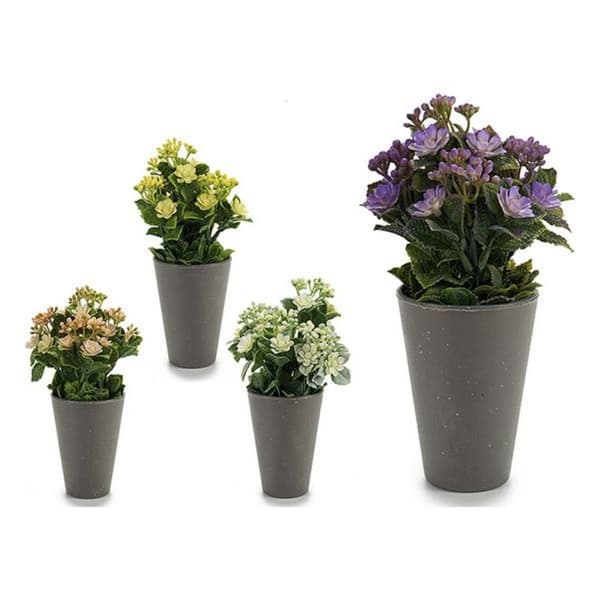 Dekorativ plante Ibergarden Plastik 11 x 22 x 11 cm
