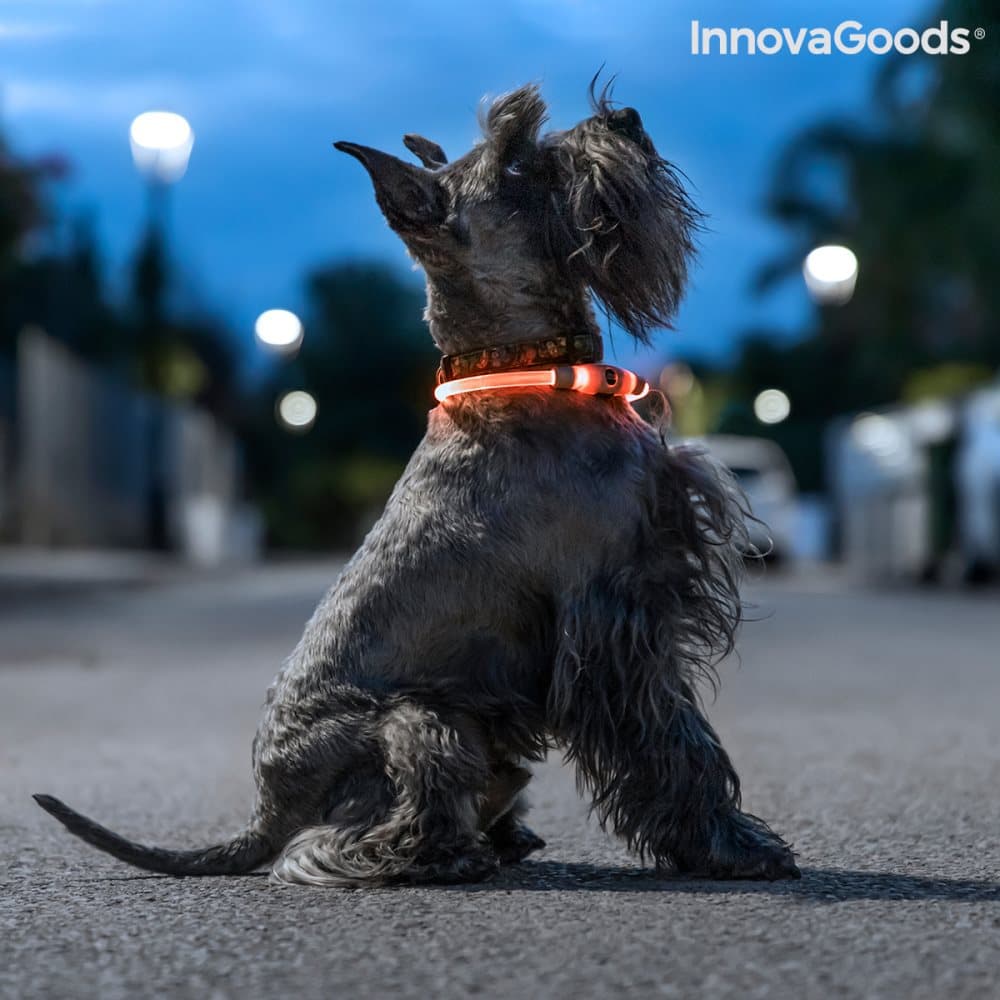 LED-halsband för husdjur Petlux InnovaGoods