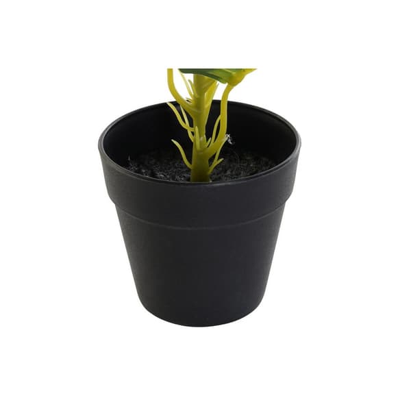 Dekorativ växt DKD Home Decor PVC polypropen 25 x 25 x 30 cm